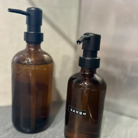 Maison Alsacienne 2-5 Pers Au Centre D'obernai * オベルネ